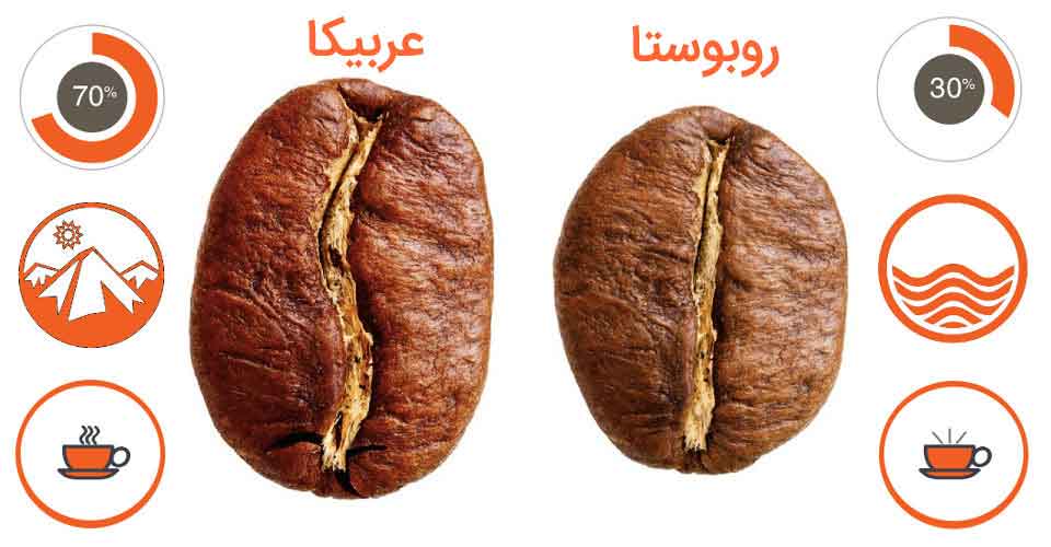 تفاوت روبوستا و عربیکا