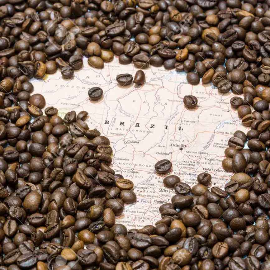 قهوه برزیل و همه چیز درباره آن