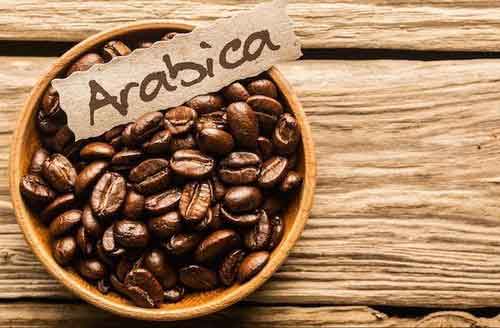 قهوه کلمبیایی در مقابل عربیکا: کدام بهتر است؟
