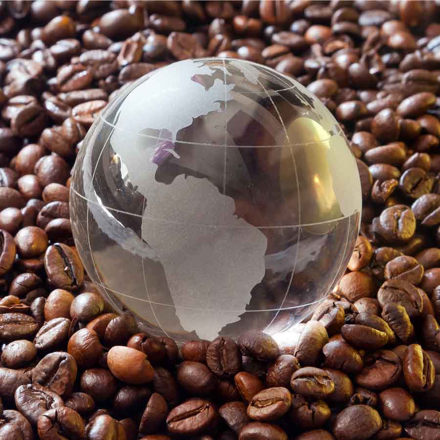قهوه کلمبیایی در مقابل عربیکا؛ کدام بهتر است؟